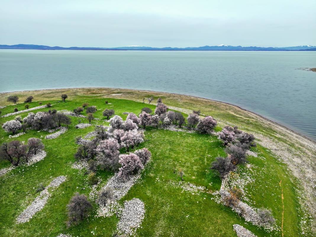 Konya'da adeta cennetten bir köşe! Bir tarafta karlı dağlar, diğer yanda bahar 5